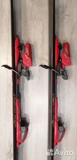 Горные лыжи fischer