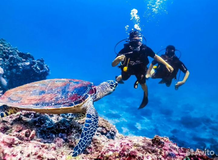 Путевка в Таиланд на 9 нч завтрак