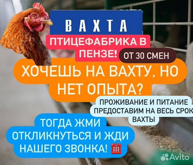 Грузчики вахтой с проживанием+питанием/г.Пенза