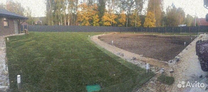 Рулонный газон, укладка, продажа