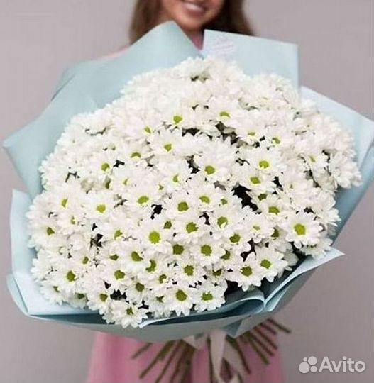 Доставка букетов и цветов. Хризантема