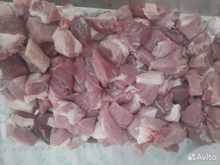 Сдам в аренду Автоклав Вейн с Автоматикой