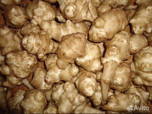 Топинамбур