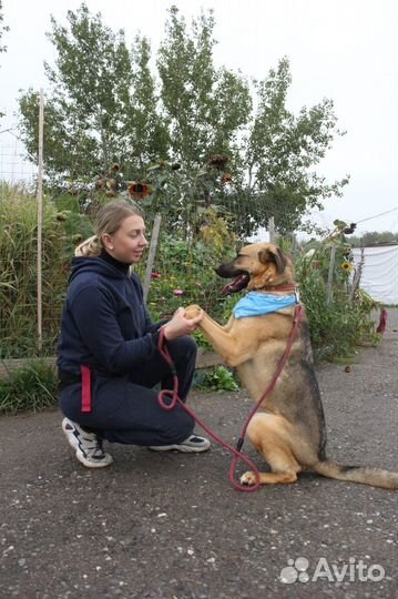 Каждый день борьба за жизнь