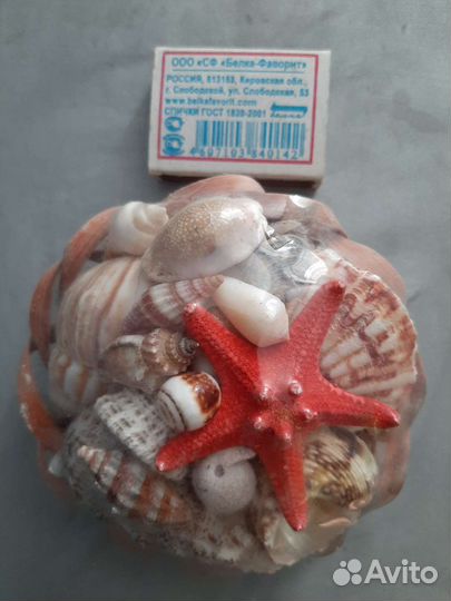 Ракушки морские