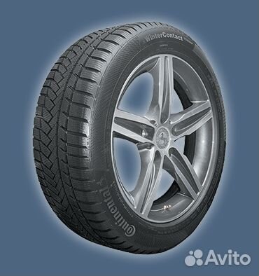 Continental ContiWinterContact TS 850 P 255/50 R20 109H