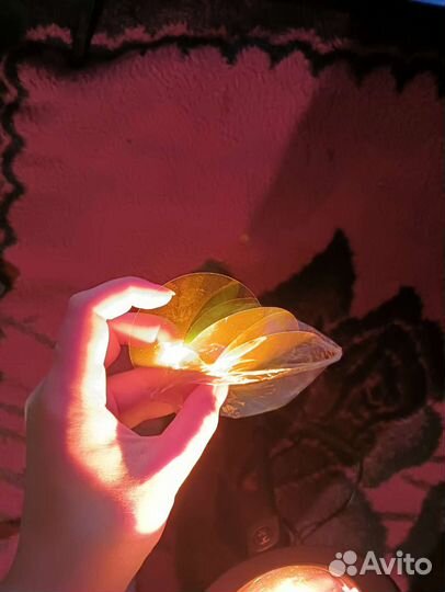 Закатная лампа