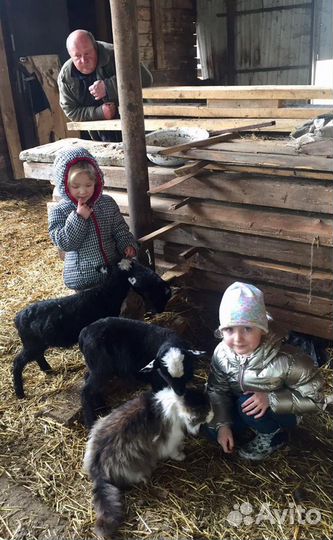 Отдых рыбалка охота