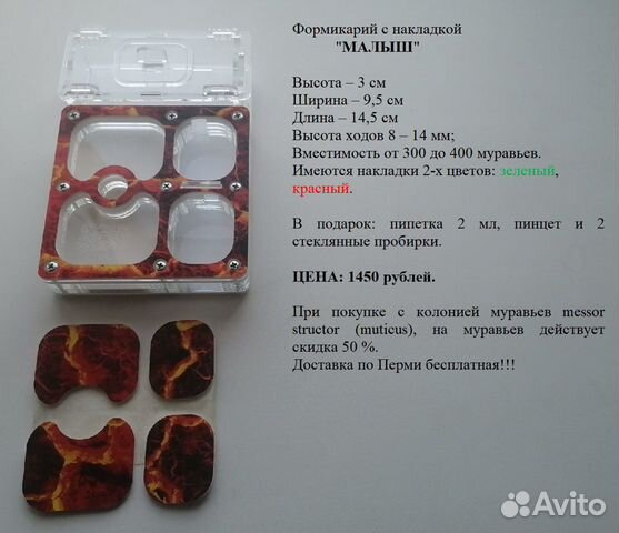 Формикарий, муравьиный дом