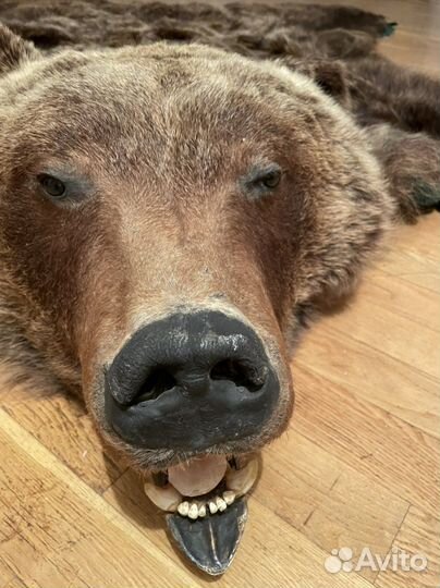 Шкура медведя имитация