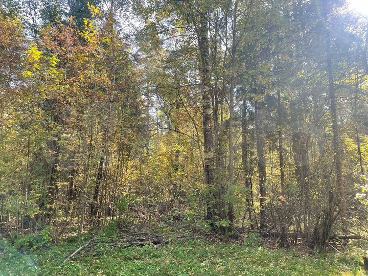 Участок 3,2 га (ИЖС)