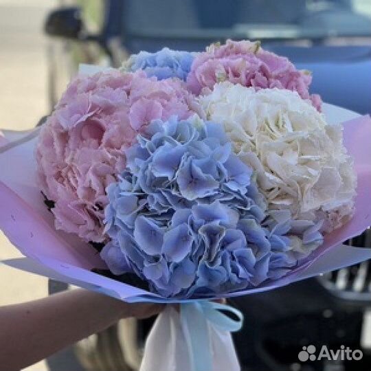 Гортензия Букет из 5 гортензий