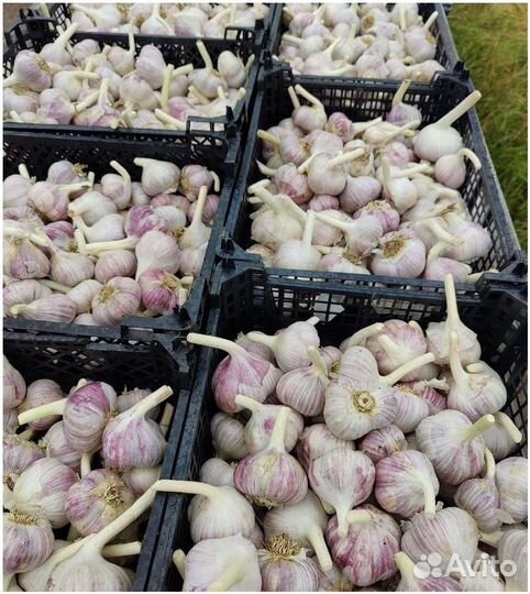 Поиск партнеров в готовый бизнес