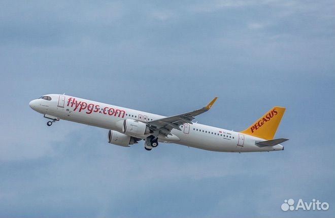 Мили Pegasus Bolbol