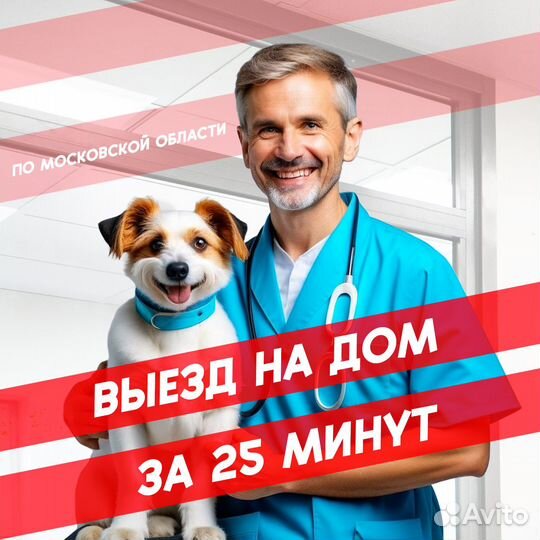 Ветеринар выезд на дом