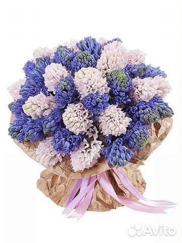 Букет Гиацинт С Доставкой