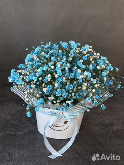 Ярко-голубая гипсофила в коробочке