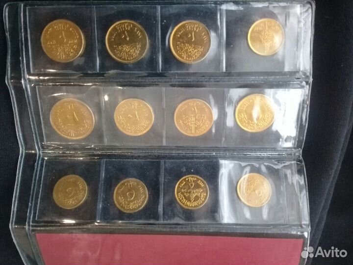 Набор монет Египта