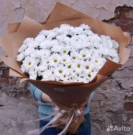 Хризантема Букет хризантем Доставка