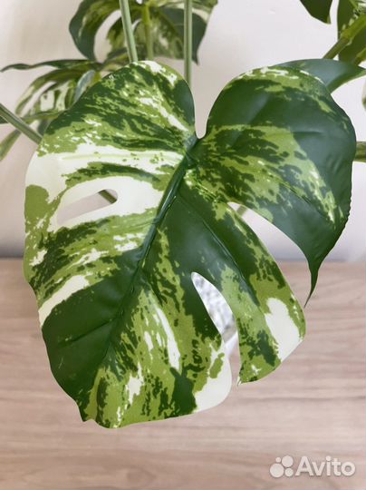 Монстера искусственная