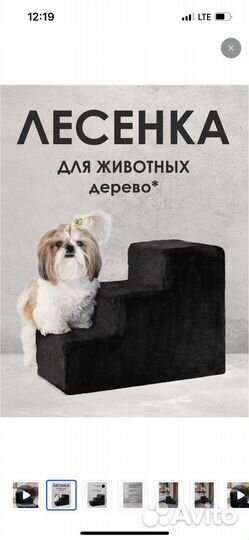 Лесенка для собак