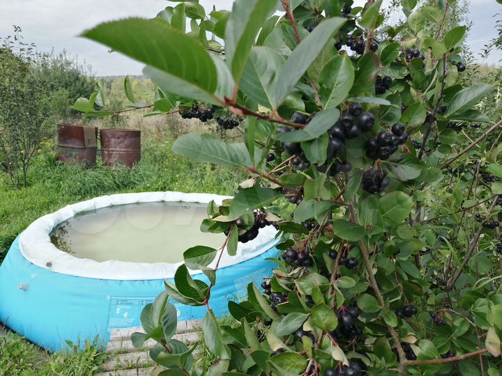 Участок 10 сот. (СНТ, ДНП)