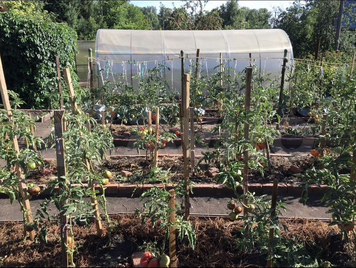 Дача 54,1 м² на участке 7,5 сот.