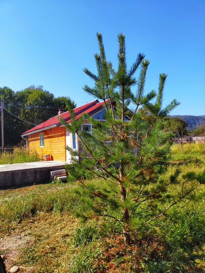 Дом 30 м² на участке 50 сот.