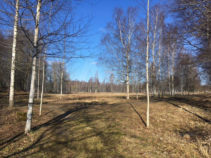 Участок 18,9 сот. (ИЖС)