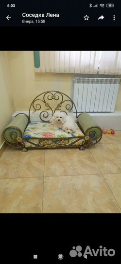 Диваны для домашних животных