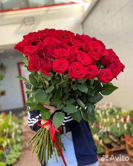 Розы Высокие 150см 160см 170см 180см 190см 2м