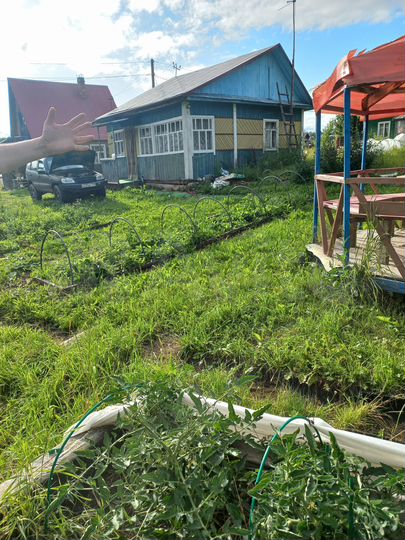 Участок 6 сот. (СНТ, ДНП)