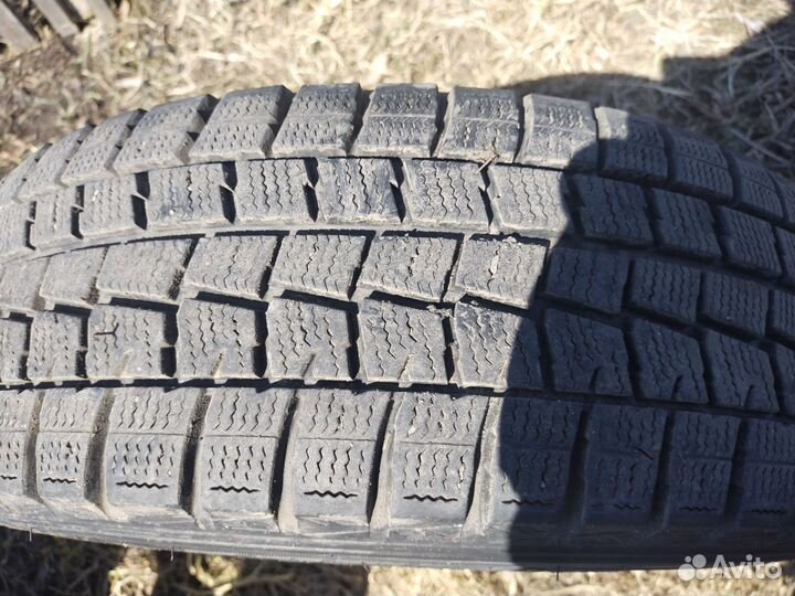 Dunlop SP Winter Maxx WM01 185/65 R15