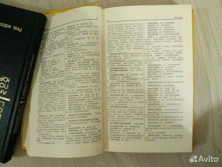 Словарь синонимов русского языка