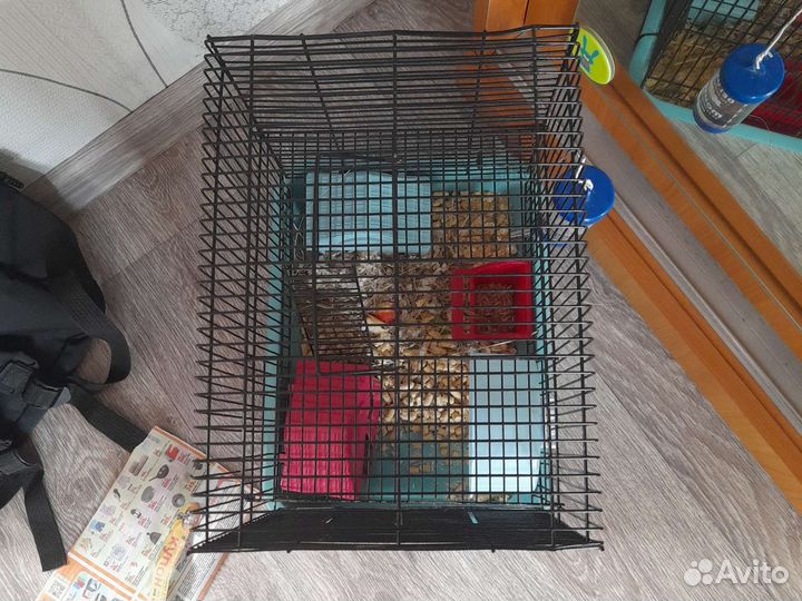Клетка для хомяков
