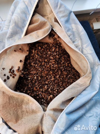 Подушка ортопедическая с гречишной лузгой 50*70