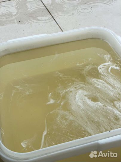 Мед Белая акация