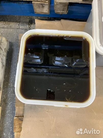 Мёд свежий гречишный опт