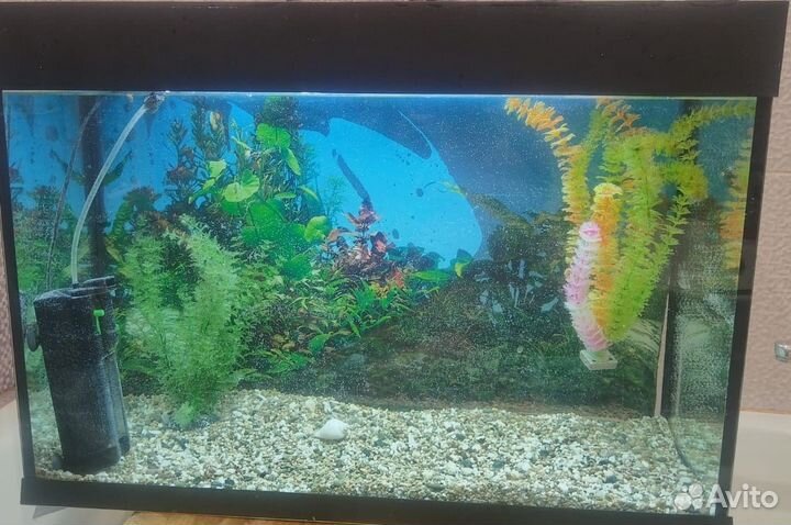 Аквариум 120 литров