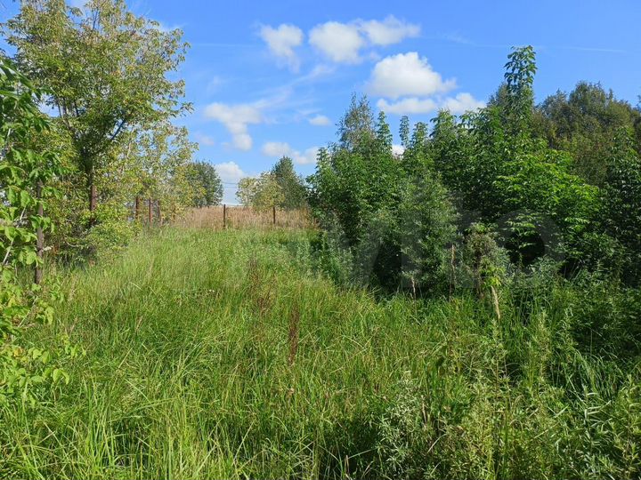 Участок 10 сот. (ИЖС)