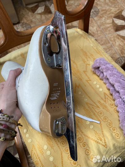 Фигурные коньки edea chorus 220