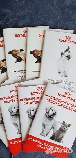 Международный ветеринарный паспорт