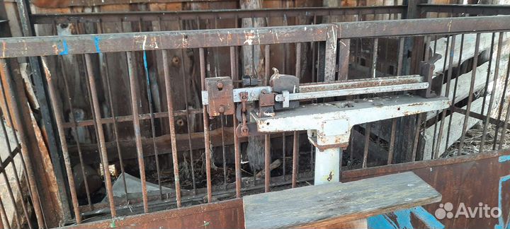 Весы для взвешивания скота