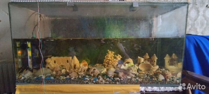Аквариум для рыбок