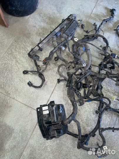 Проводка подкапотная с блоком Kia Rio 3