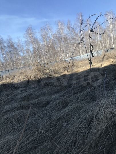 Участок 22 сот. (СНТ, ДНП)