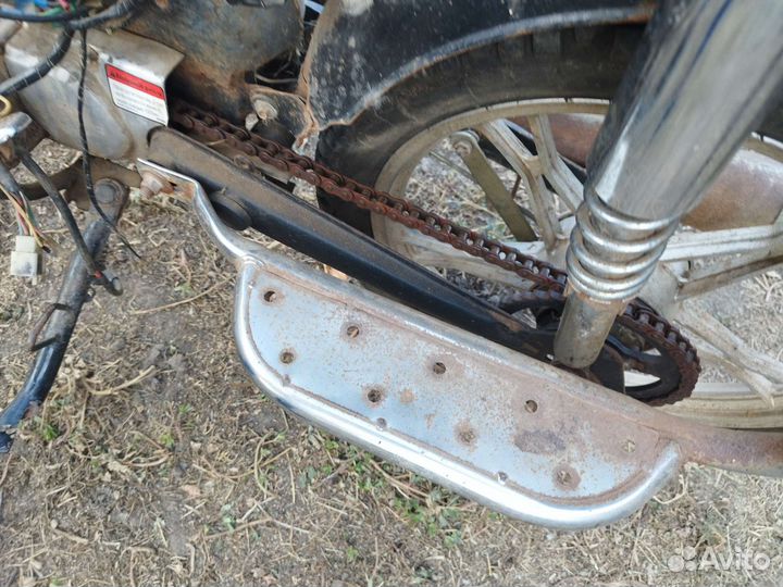 Продам альфу