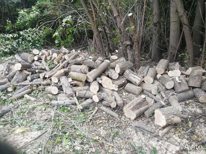 Дрова ясень