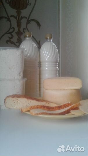 Молоко, творог, сыр, сметана