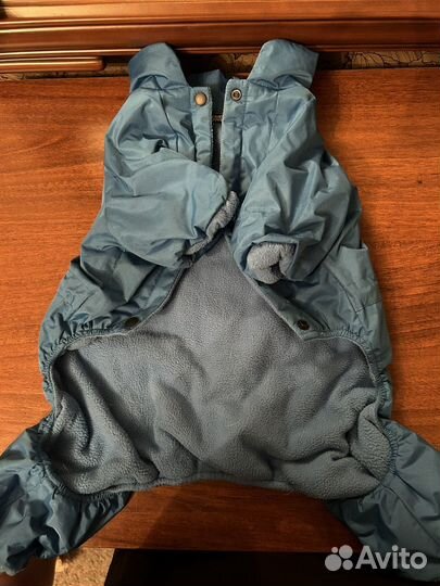 Одежда для собак